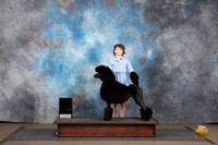 Poodle Standard #114 Sun Jr 1st Judge Matthew Proctor Chandra Martin?