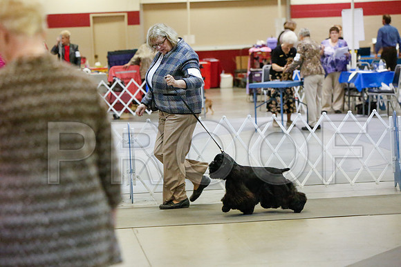 _JJ_2647-AmarilloSept2014-HR3
