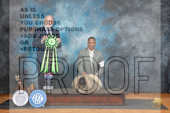 Pekingese #17 Fri BIS Judge Tim Robbins__JP_7485_MARSHALL_2024_HR3