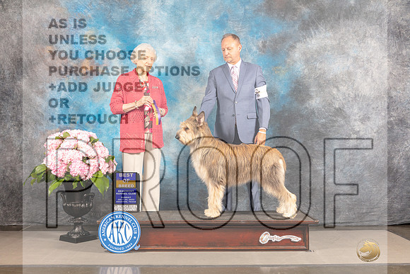 Berger Picard #6 Sun BOB Judge Janet Fink_MJ_5166e3_Hstn2022-HR3