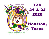 Corgi Houston Feb 21 22 2020