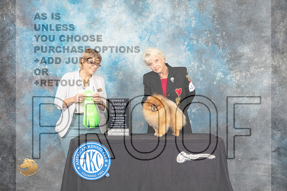 Pomeranian #41 Sat OHG2 Judge Carolyn Horowitz_MJ_0282_HstnTOY_2022_HR3
