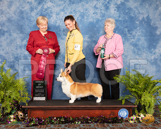 #47 Fri AOM Judge Tammy Johnston__SR_0723_CorgiHstn2020-HR3