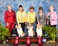 AOM Group Fri Judge Tammy Johnston