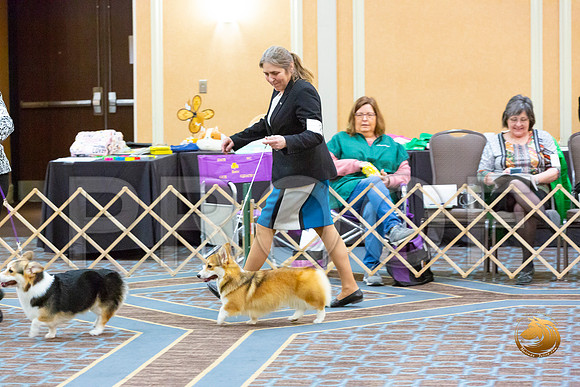 Bitch 9 to 12 Bitch Fri_JJL_3637-CorgiHstn2020-HR3