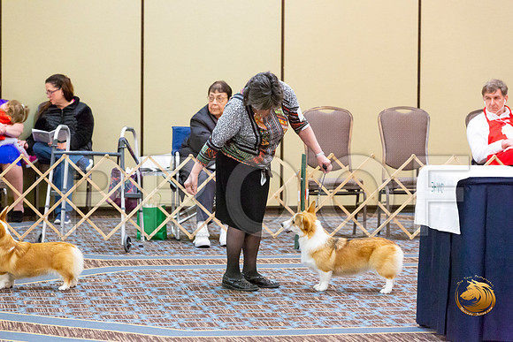 Bitch 6 to 9 Bitch Fri_JJL_3356-CorgiHstn2020-HR3