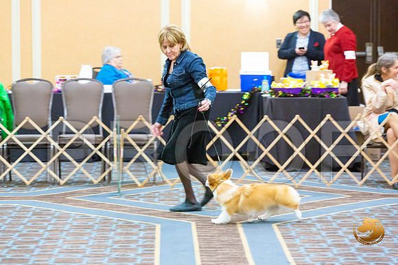 Bitch 6 to 9 Bitch Fri_JJL_3359-CorgiHstn2020-HR3