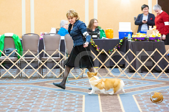 Bitch 6 to 9 Bitch Fri_JJL_3360-CorgiHstn2020-HR3