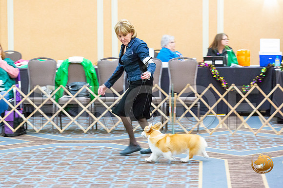 Bitch 6 to 9 Bitch Fri_JJL_3362-CorgiHstn2020-HR3