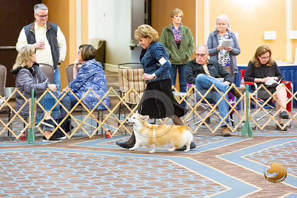 Bitch Open Bitch Fri_JJL_3808-CorgiHstn2020-HR3