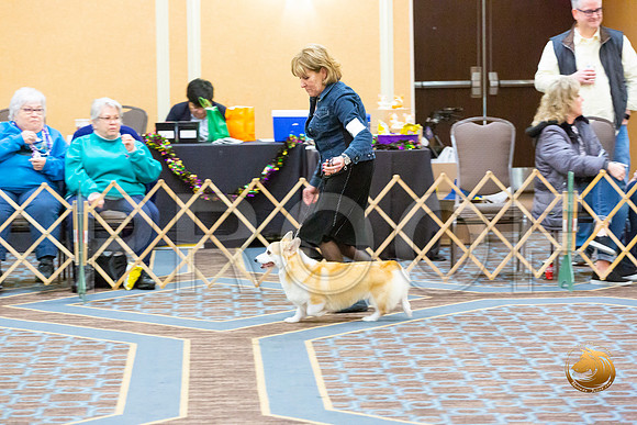 Bitch Open Bitch Fri_JJL_3812-CorgiHstn2020-HR3