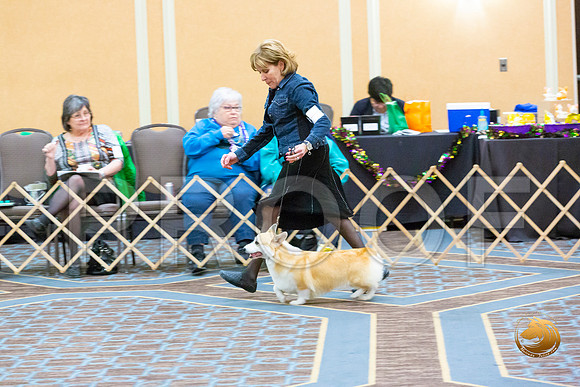 Bitch Open Bitch Fri_JJL_3814-CorgiHstn2020-HR3
