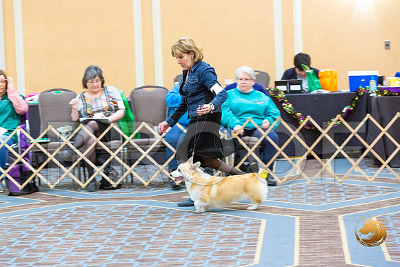Bitch Open Bitch Fri_JJL_3815-CorgiHstn2020-HR3