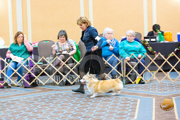 Bitch Open Bitch Fri_JJL_3816-CorgiHstn2020-HR3