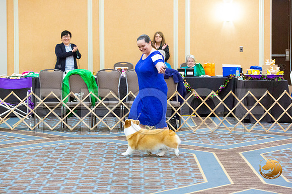 Bitch Veteran Fri_JJL_3950-CorgiHstn2020-HR3
