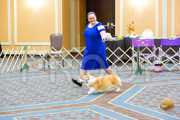 Bitch Veteran Fri_JJL_3955-CorgiHstn2020-HR3