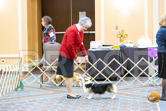 Bitch Winners Bitch Fri_JJL_3860-CorgiHstn2020-HR3