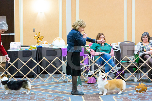 Bitch Winners Bitch Fri_JJL_3861-CorgiHstn2020-HR3