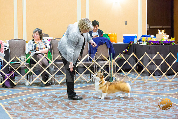 Bitch Winners Bitch Fri_JJL_3863-CorgiHstn2020-HR3
