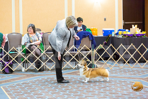 Bitch Winners Bitch Fri_JJL_3864-CorgiHstn2020-HR3
