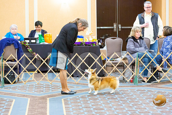 Bitch Winners Bitch Fri_JJL_3865-CorgiHstn2020-HR3