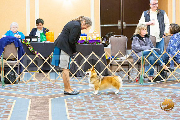 Bitch Winners Bitch Fri_JJL_3867-CorgiHstn2020-HR3