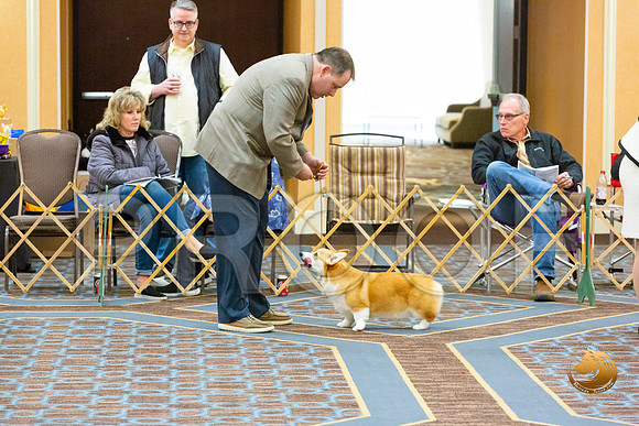 Bitch Winners Bitch Fri_JJL_3869-CorgiHstn2020-HR3