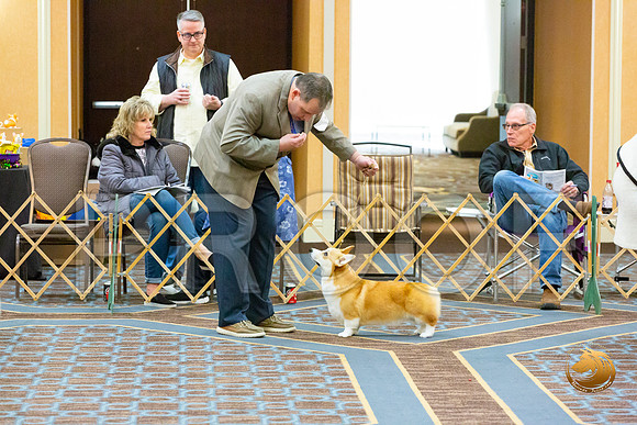 Bitch Winners Bitch Fri_JJL_3871-CorgiHstn2020-HR3
