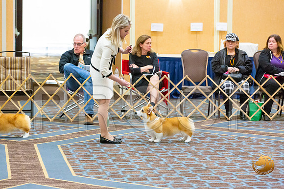 Bitch Winners Bitch Fri_JJL_3874-CorgiHstn2020-HR3