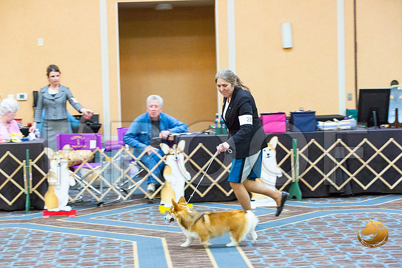 Bitch Winners Bitch Fri_JJL_3879-CorgiHstn2020-HR3