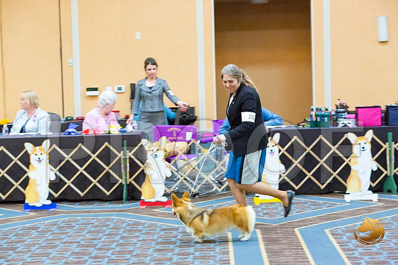 Bitch Winners Bitch Fri_JJL_3881-CorgiHstn2020-HR3