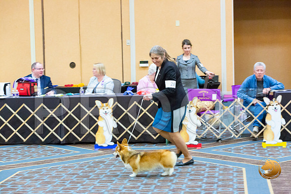 Bitch Winners Bitch Fri_JJL_3882-CorgiHstn2020-HR3