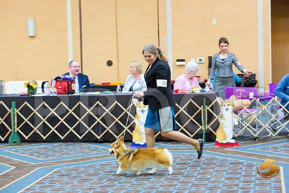 Bitch Winners Bitch Fri_JJL_3883-CorgiHstn2020-HR3