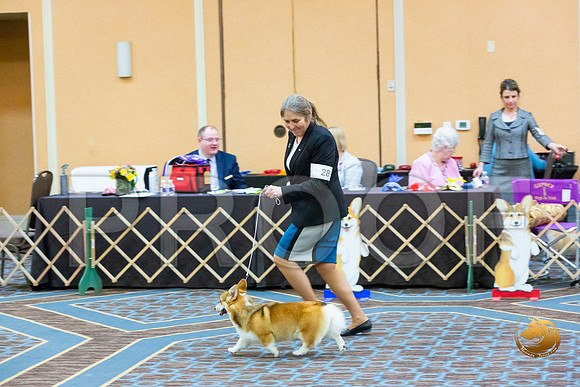 Bitch Winners Bitch Fri_JJL_3884-CorgiHstn2020-HR3