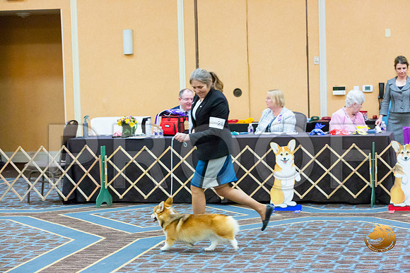 Bitch Winners Bitch Fri_JJL_3885-CorgiHstn2020-HR3