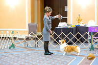 Winners Dog Fri