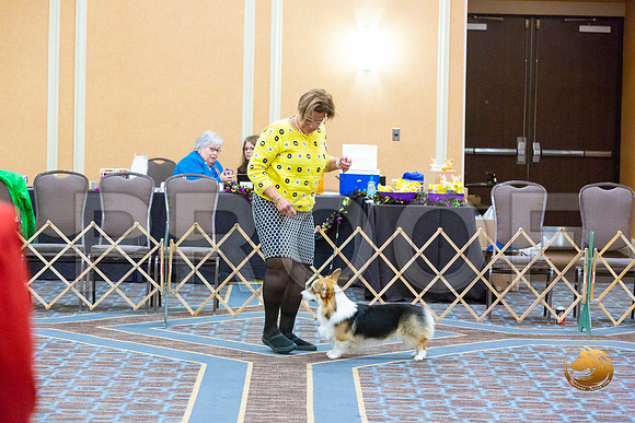Winners Dog Fri_JJL_3284-CorgiHstn2020-HR3
