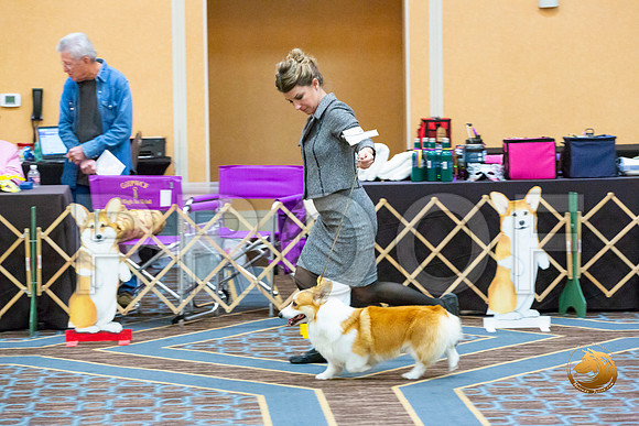 Winners Dog Fri_JJL_3294-CorgiHstn2020-HR3
