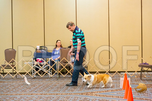 Rally #101 2_JJL_4940-CorgiHstn2020-HR3