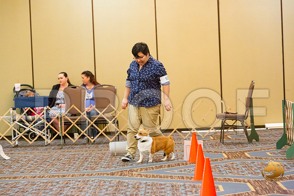 Rally #103 2_JJL_5010-CorgiHstn2020-HR3