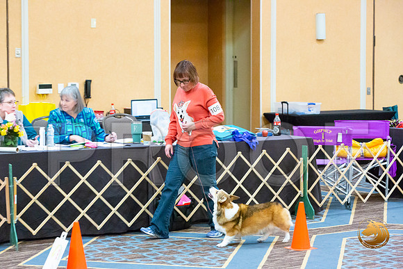 Rally Int #108_JJL_5361-CorgiHstn2020-HR3
