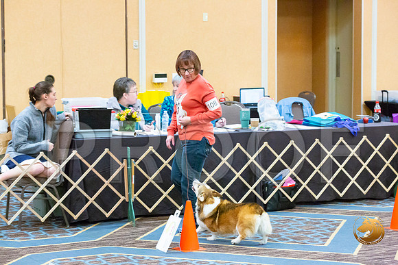 Rally Int #108_JJL_5365-CorgiHstn2020-HR3
