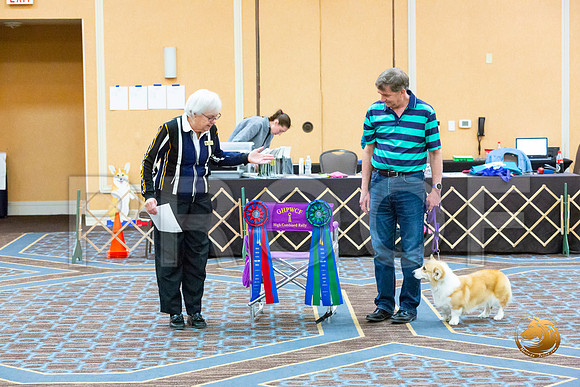 Rally OB Awards_JJL_5495-CorgiHstn2020-HR3