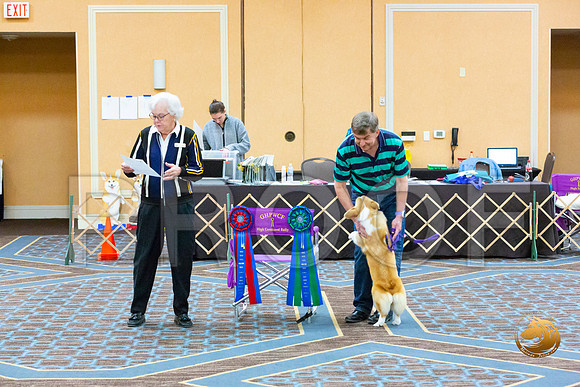 Rally OB Awards_JJL_5496-CorgiHstn2020-HR3