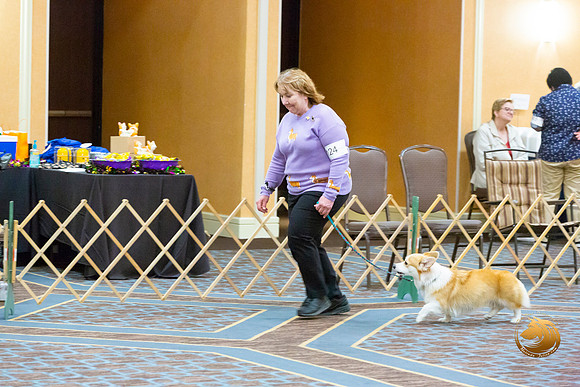 Obed Nov Beg A #124_JJL_5746-CorgiHstn2020-HR3