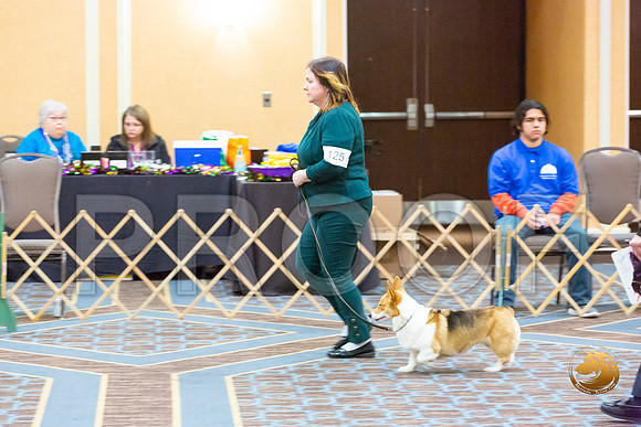 Obed Nov Beg A #125_JJL_5795-CorgiHstn2020-HR3