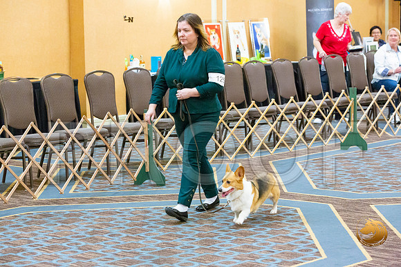 Obed Nov Beg A #125_JJL_5803-CorgiHstn2020-HR3