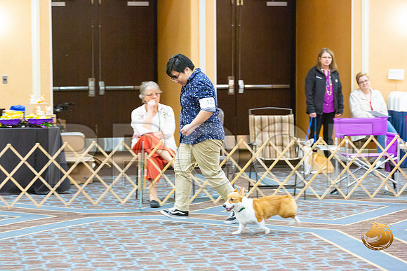 Obed Open A #123_JJL_5687-CorgiHstn2020-HR3