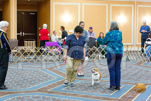 Obed Open A #123_JJL_5701-CorgiHstn2020-HR3
