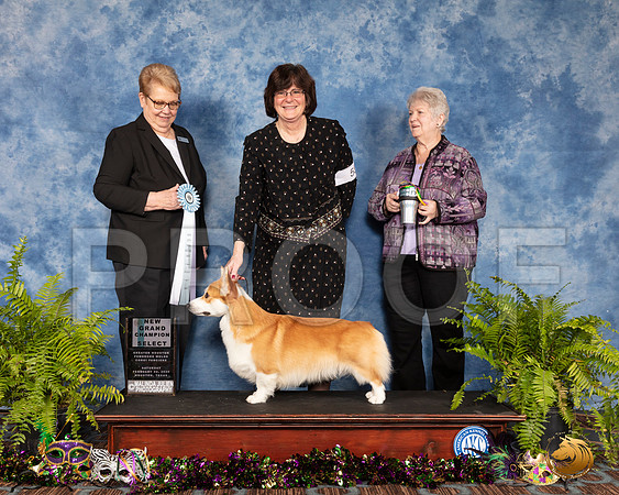 #55 Sat SD NGrCh Judge Donna Francis__SR_0816_CorgiHstn2020-HR3